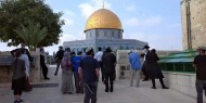الأمم المتحدة تدعو إسرائيل إلى احترام الوضع الراهن في القدس