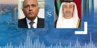 الإمارات تؤكد دعمها لجهود مصر في التوصل لحل سياسي للأزمة الليبية