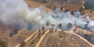 إعلام الاحتلال: 22 حريقا في المستوطنات بفعل البالونات الحارقة