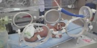 صحة غزة: 640 حالة ولادة طبيعية بمجمع الشفاء منذ بدء جائحة كورونا