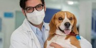 إصابة كلب بفيروس كورونا في الأردن والصحة تتدخل