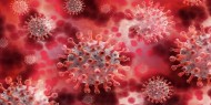 بريطانيا تعلن اكتشاف "سلالة جديدة" من فيروس كورونا
