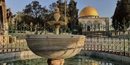"القدس للتنمية" تنفي مشاركة الإمارات في مشروع "واد السليكون" الاستيطاني