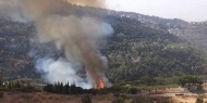 لبنان: اندلاع سلسلة حرائق قرب الحدود الجنوبية  