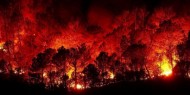 حريق يدمر أكثر من 70 منزلا في غابات أستراليا