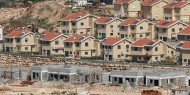 الاحتلال يصادق على بناء 530 وحدة استيطانية شرق القدس المحتلة