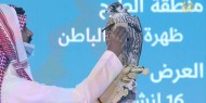 خاص بالفيديو|| صقر من سلالة "الشاهين" يحطم الرقم القياسي في السعودية