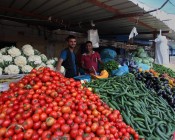 أسعار المنتجات الزراعية في غزة اليوم الثلاثاء