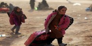 استشهاد أكثر من 250 طفلا فلسطينيا في سوريا