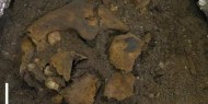 اكتشاف مخيف يعود لـ8 آلاف عام.. طفل مقطوع الأوصال
