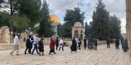 عشرات المستوطنين يدنسون باحات المسجد الأقصى