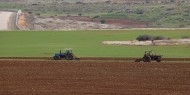 الفلسطينيون يستعيدون أراضيهم بسهل قاعون بالأغوار الشمالية