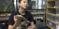 مواطن من هونج كونج يصيد الزواحف القاتلة لخدمة التوازن البيئي
