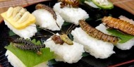 "الحشرات" ضمن قوائم الأطعمة الأوروبية قريبا