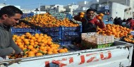 البرتقال التونسي يواجه صعوبات التصدير في ظل زيادة الإنتاج