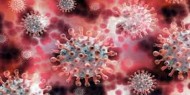 بالأرقام|| آخر مستجدات فيروس كورونا في العالم