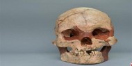 علماء يكتشفون جمجمة عمرها مليوني عام