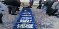 تجار الأسماك يحتجون على استمرار منع استيراد السمك المصري