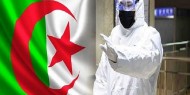 الجزائر: فقدان 51 ألف وظيفة خلال عام 2020