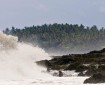 تحذير من تسونامي بعد زلزال بالقرب من جزر تونغا