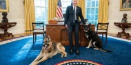 كلب بايدن يعض ضابط أمن في البيت الأبيض