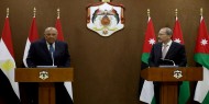 وزيرا الخارجية المصري والأردني يبحثان تطورات القضية الفلسطينية