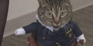 اليابان: تعيين قطة لمنصب رئيسة قسم شرطة