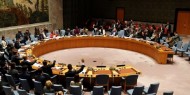 رئيس مجلس الأمن: الوضع في غزة وإسرائيل ينذر بالخطر