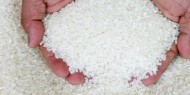 مصر:  تخصيص 1.074 مليون فدان لزراعة الأرز في موسم 2021
