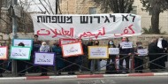 دعوات للاحتشاد رفضا لقرار الاحتلال هدم خيمة التضامن في الشيخ جراح