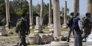 مستوطنون يقتحمون الموقع الأثري في بلدة سبسطية