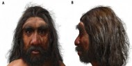 بالصور|| جمجمة "رجل التنين" الأكبر في التاريخ توضح أصول البشر