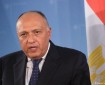 وزير الخارجية المصري: سنواصل العمل بما يحقق مصلحة الشعب الفلسطيني
