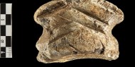 بالصور|| العثور على أقدم قطعة أثرية لإنسان نياندرتال