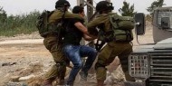 جيش الاحتلال يعتقل 5 متسللين عبر الحدود مع الأردن