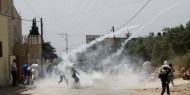 الاحتلال يقمع وقفة منددة بالاعتداءات على رعاة الأغنام في يطا