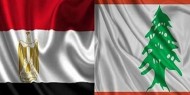 مصر: مستعدون لتلبية احتياجات القطاع الصحي في لبنان