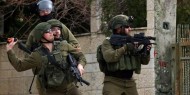 وحدة دوفدفان في جيش الاحتلال الإسرائيلي