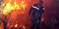 الجزائر: إخماد 43 حريقا في 20 ولاية
