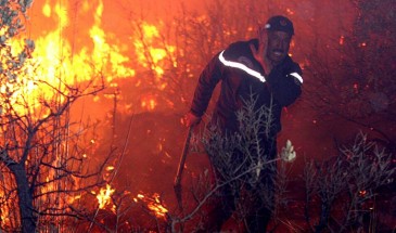 مصرع 26 شخصا في حرائق غابات شرق الجزائر