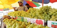 خاص بالفيديو والصور|| معرض الشيخ عجلين.. مقصد الغزيين لشراء فاكهة الصيف