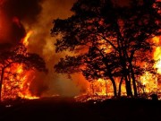 فرنسا توقف انتشار حريق ضخم في منطقة جيروند