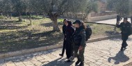 الاحتلال يعتقل شقيقتين من أمام باب العامود في القدس