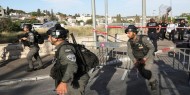شرطة الاحتلال تعتدي على أصحاب أراضي في سلوان