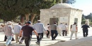 مستوطنون يقتحمون باحات المسجد الأقصى بحراسة شرطة الاحتلال