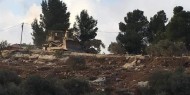 الاحتلال يجرف 4 دونمات ويقتلع 30 شجرة زيتون غرب بيت لحم