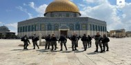 "هيئات إسلامية" تحذر من السماح للمستوطنين بالصلاة في المسجد الأقصى