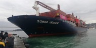 اصطدام سفينة شحن روسية مع سفينة تركية في مضيق البوسفور