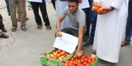 مزارعو غزة يتلفون محصول "البندورة" أمام مقر الأمم المتحدة