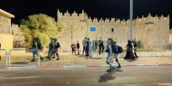 قوات الاحتلال تعتدي على الشبان في منطقة باب العامود